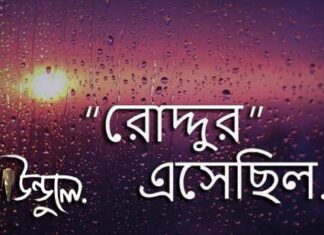 Roddur Esechilo (রোদ্দুর এসেছিল) Bengali Poem Lyrics | Baundule